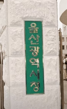 울산시--.jpg