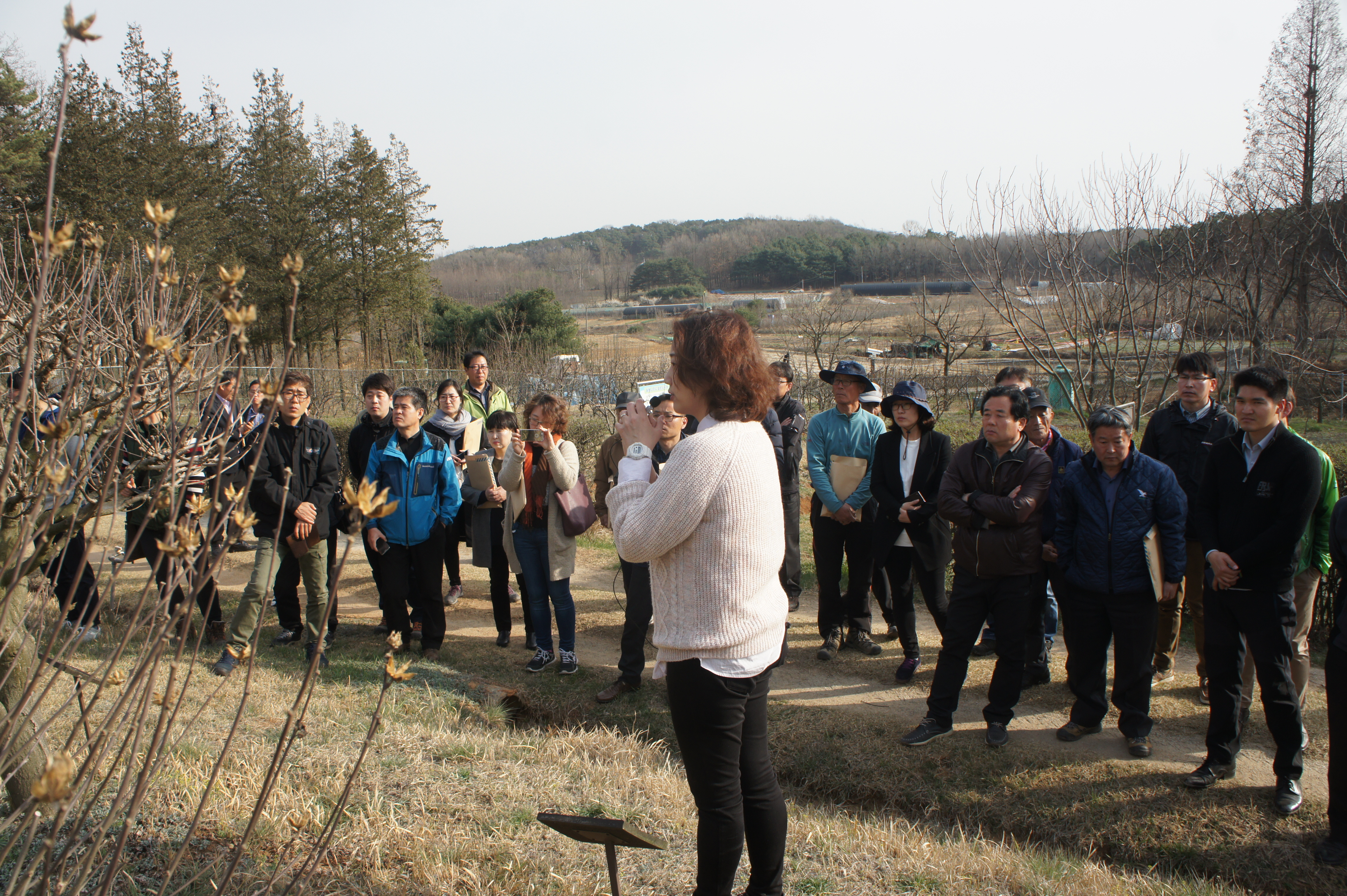 31일+개최된+무궁화+가로수+재배+및+가지치기+현장+설명회에서+현장+강의중인+국립산림과학원+권해연+박사.JPG