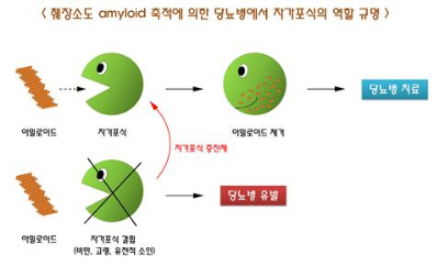 포맷변환_004.jpg