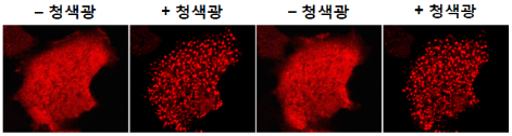 포맷변환_22.jpg