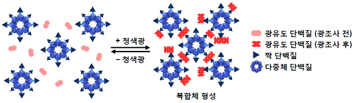 포맷변환_11.jpg