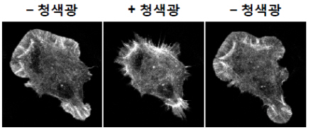 포맷변환_3.jpg