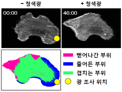 포맷변환_4.jpg