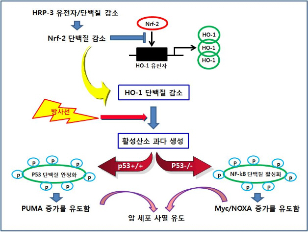 포맷변환_06.jpg