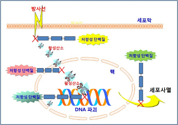 포맷변환_05.jpg