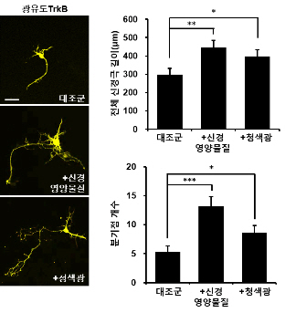 포맷변환_0001.jpg