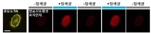 포맷변환_0003.jpg