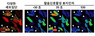 포맷변환_0005.jpg