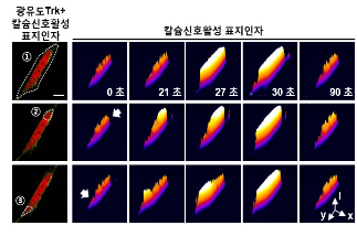 포맷변환_0004.jpg