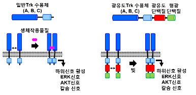 포맷변환_00001.jpg