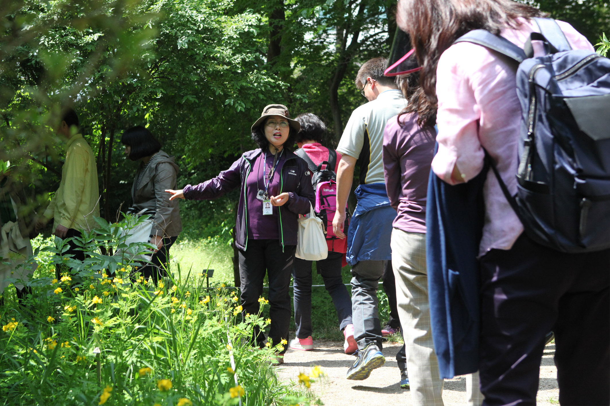 국립산림과학원은+17일부터+홍릉숲에서+평일+일반시민들이+참여할+수+있는+숲+해설+프로그램을+확대+운영한다_.jpg