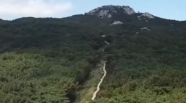 박형준 시장, "금...