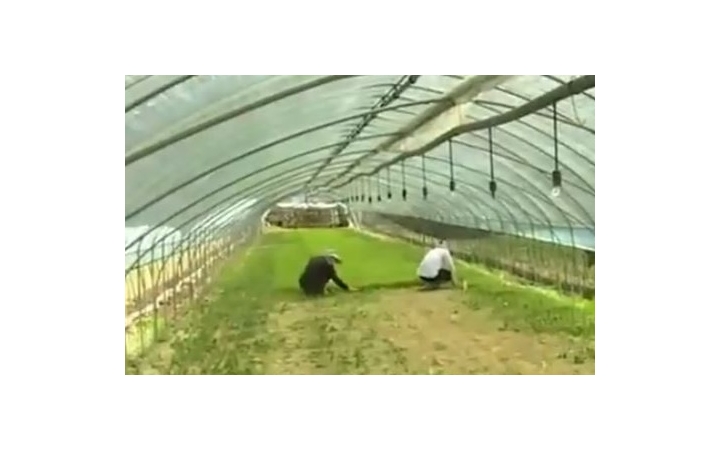 임금체불 피해 외국인,...